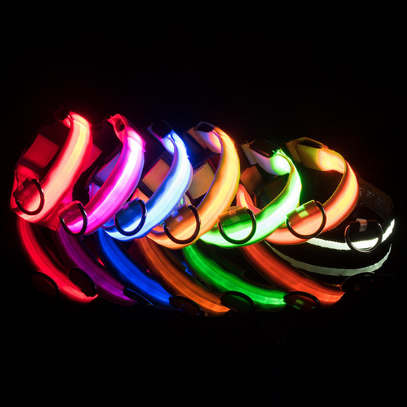 USB Charging Led Dog Collar Anti-Lost/Avoid Car Accident