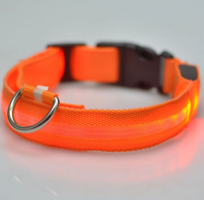 USB Charging Led Dog Collar Anti-Lost/Avoid Car Accident