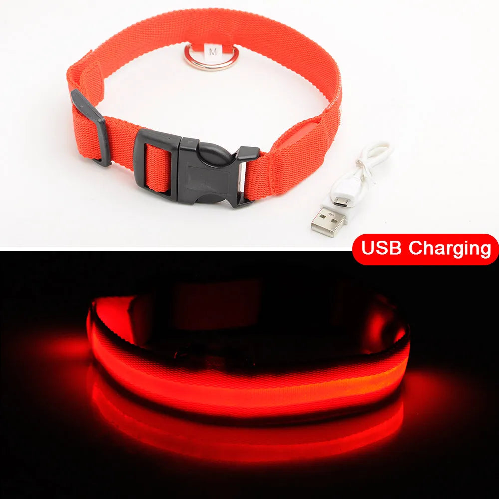 USB Charging Led Dog Collar Anti-Lost/Avoid Car Accident