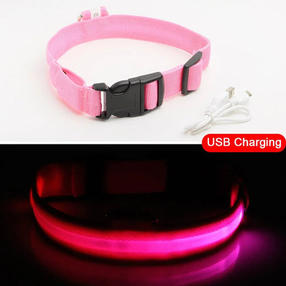 USB Charging Led Dog Collar Anti-Lost/Avoid Car Accident