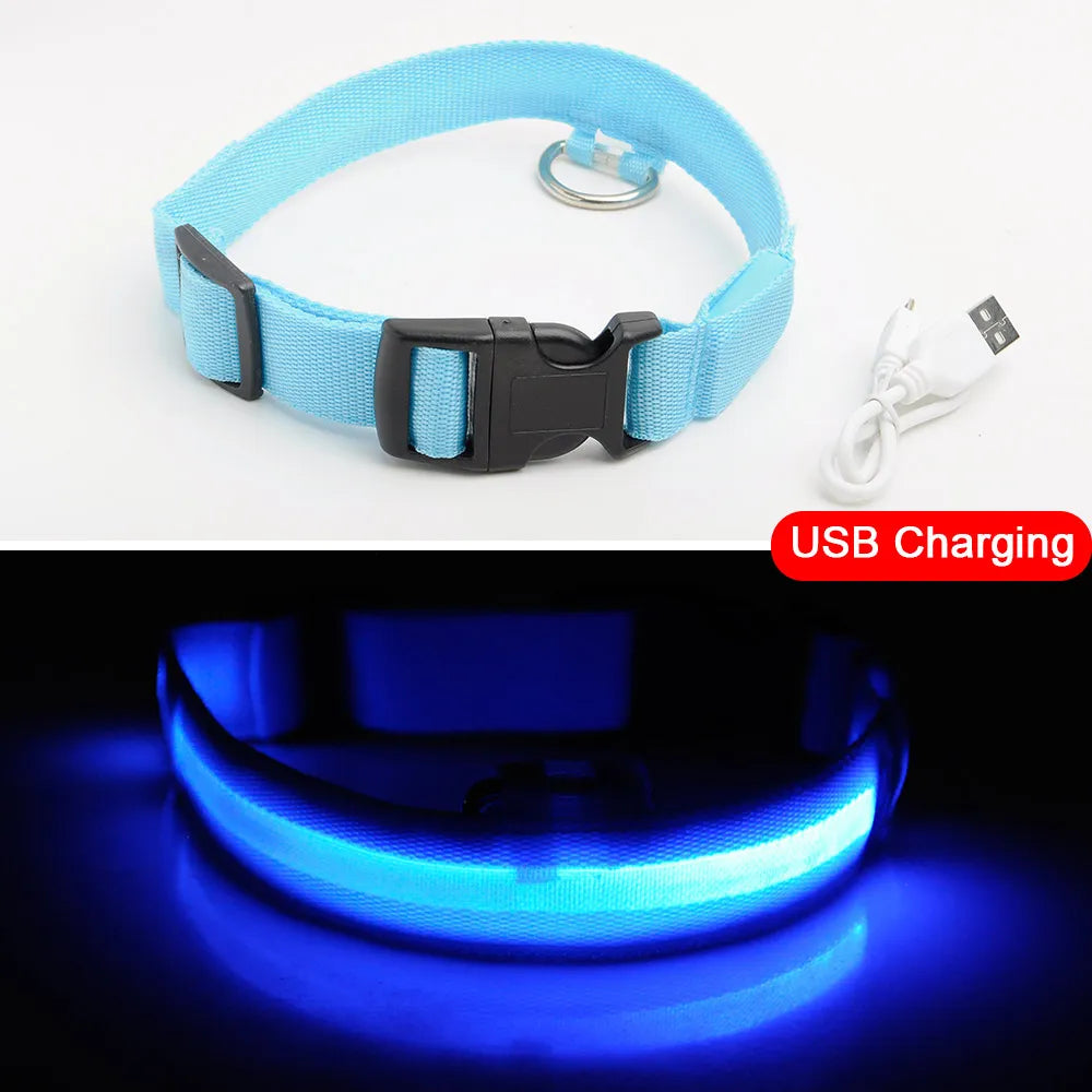 USB Charging Led Dog Collar Anti-Lost/Avoid Car Accident